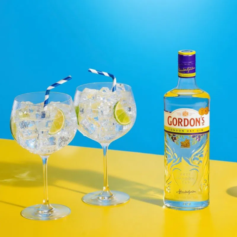 Gin Gordon's London Dry 750ml - Image 3