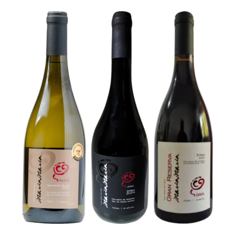 Família Maria Maria